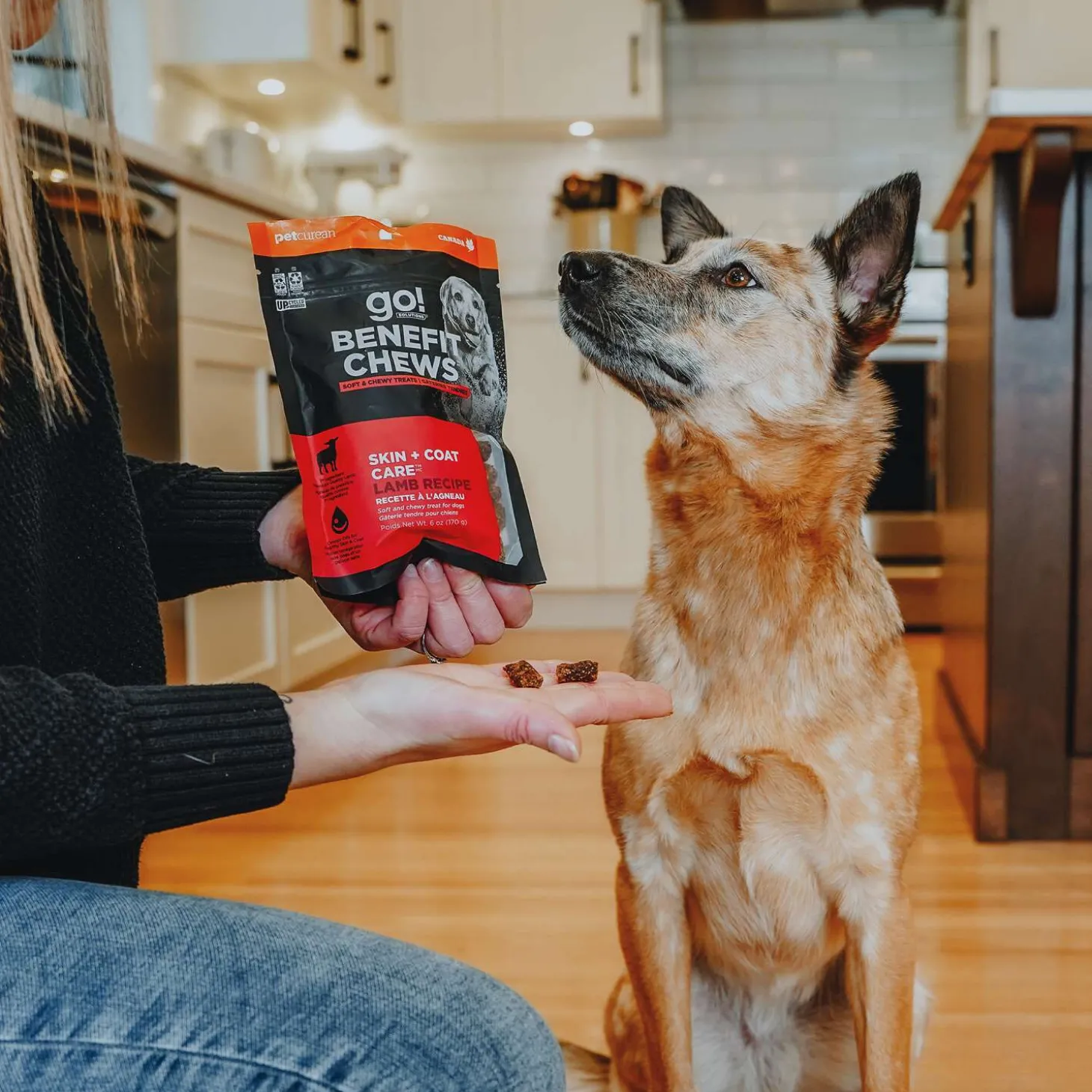 Benefit Chews Skin + Coat Care Lamb Treats for Dogs