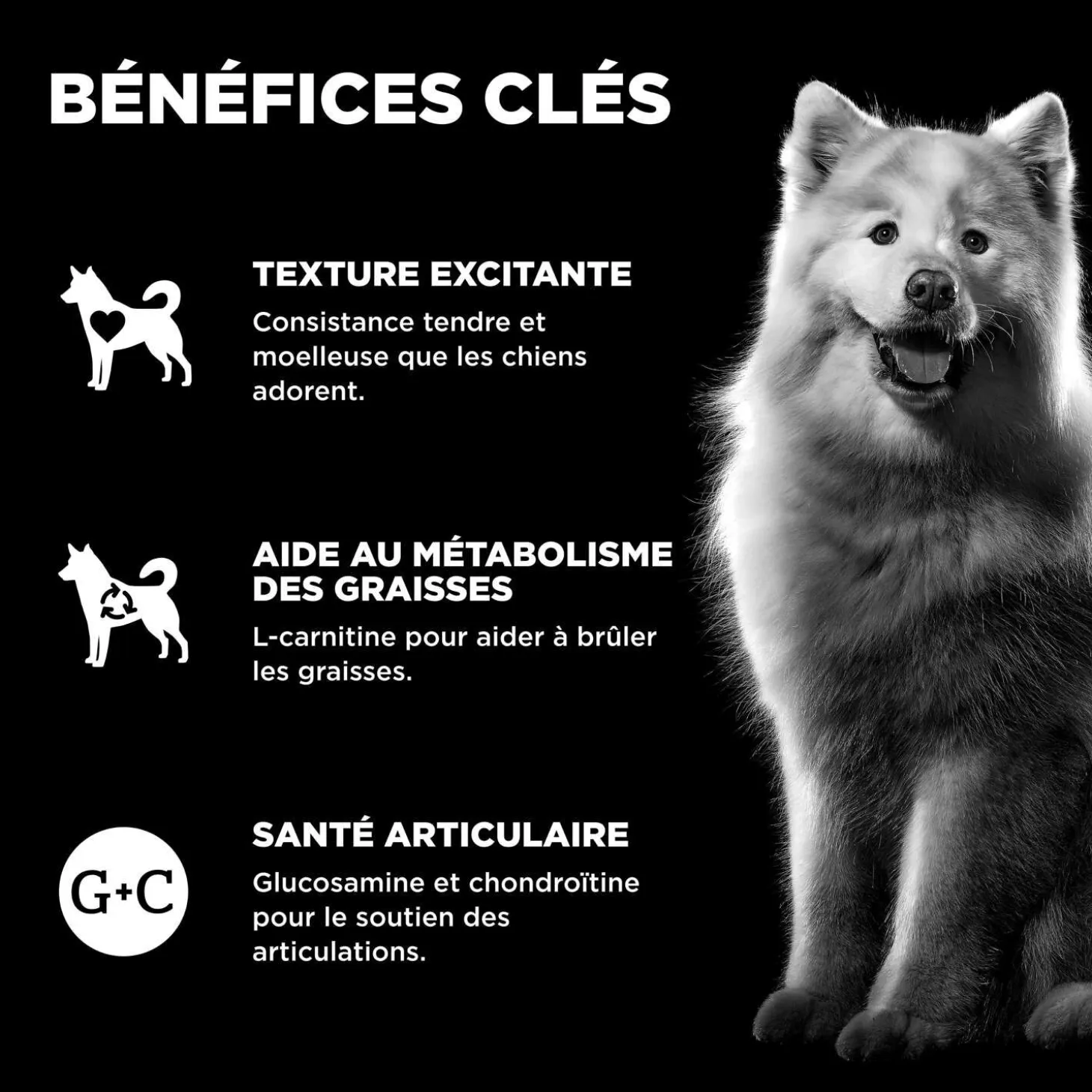 Benefit Chews Weight Management + Joint Care Chicken Treats for Dogs