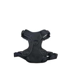 Black Embroidered Dog Harness