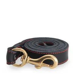 Black stitched leather leash
