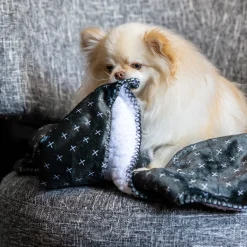 Black X blanket