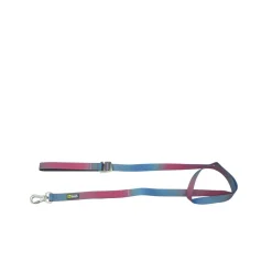 Blue and Pink Gradian Silicone Dog Leash, 6 inches