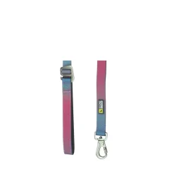 Blue and Pink Gradian Silicone Dog Leash, 6 inches