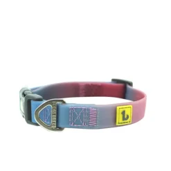 Blue and Pink Gradiant Silicone Dog Collar