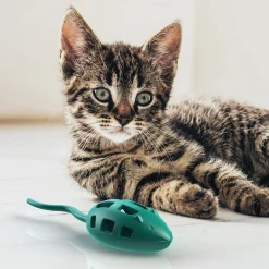 Blue cat treat mouse toys