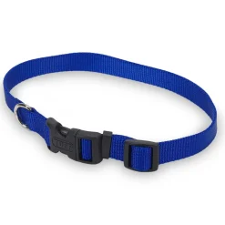 Blue nylon collar