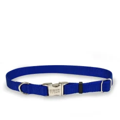 Blue nylon collar