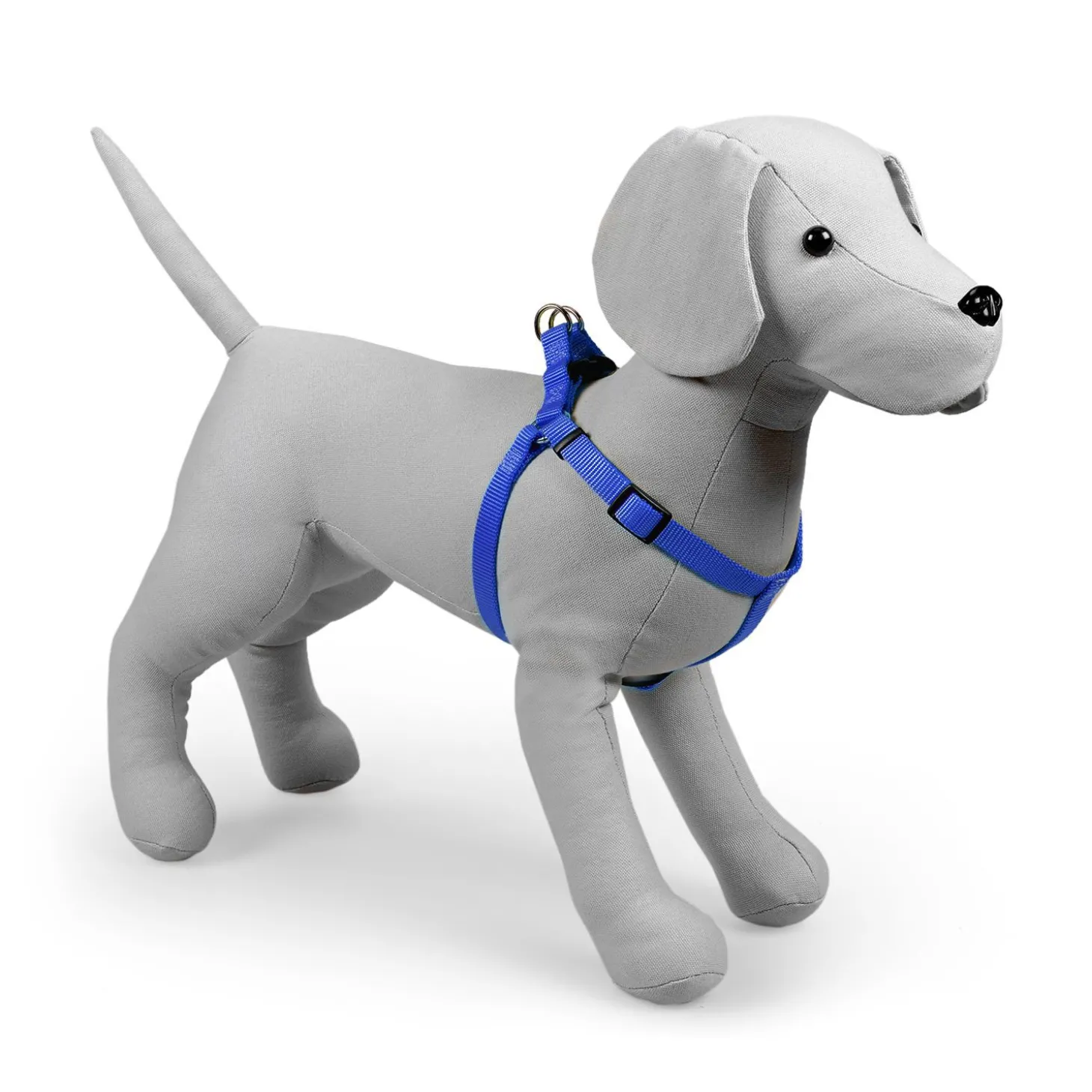 Blue nylon harness
