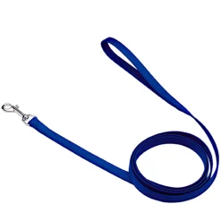 Blue single-ply nylon leash