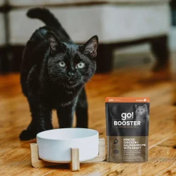 Booster Brain Health Minced Chicken and Salmon with Gravy for Cats, 71 g