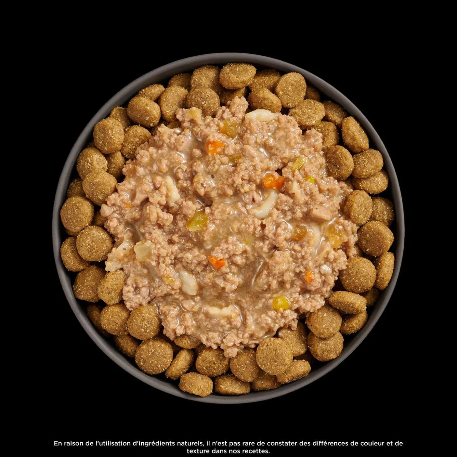 Booster Digestive Health Chicken and Lamb Stew Meal Topper for Dogs, 79 g