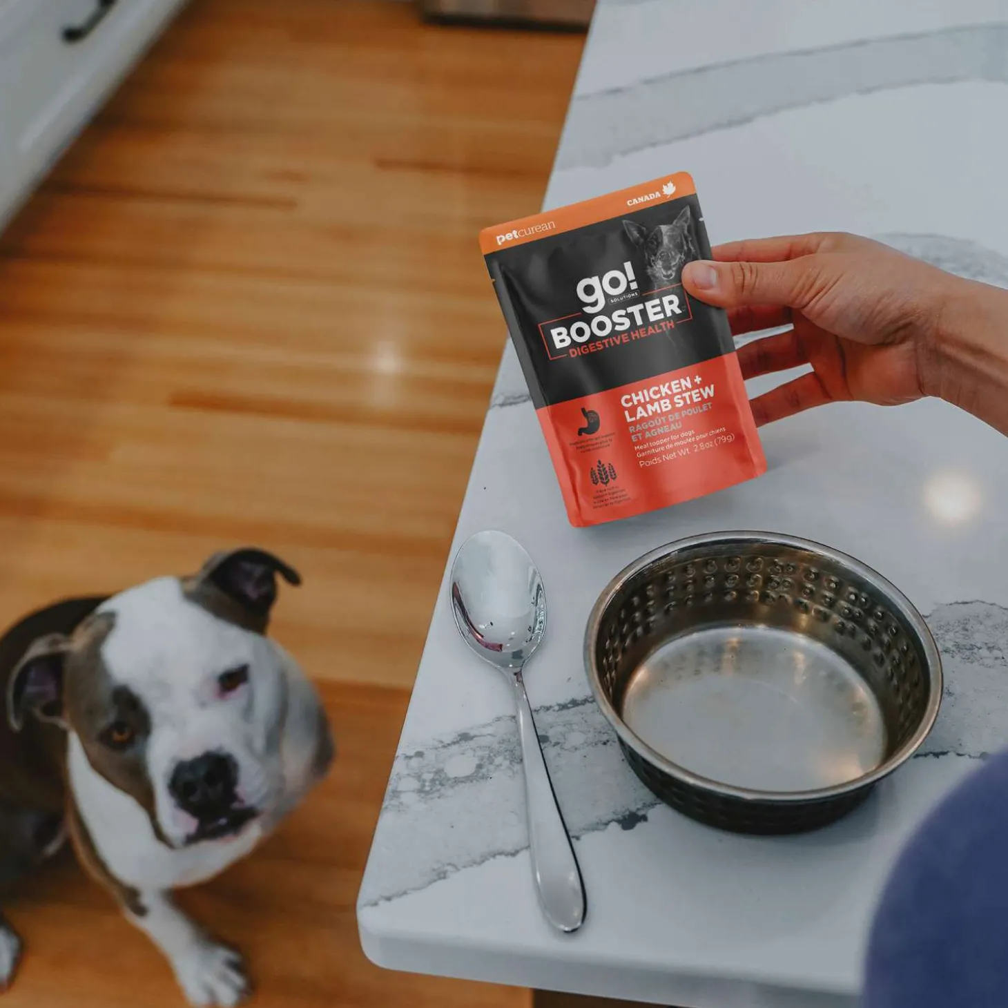 Booster Digestive Health Chicken and Lamb Stew Meal Topper for Dogs, 79 g