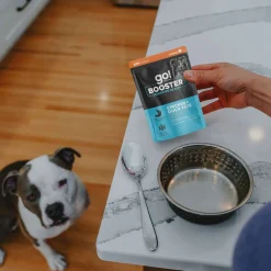 Booster Digestive Health Chicken and Duck Pâté Meal Topper for Dogs, 79 g