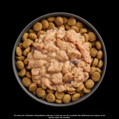 Booster Immune Health Minced Chicken with Gravy Meal Topper for Dogs, 79 g