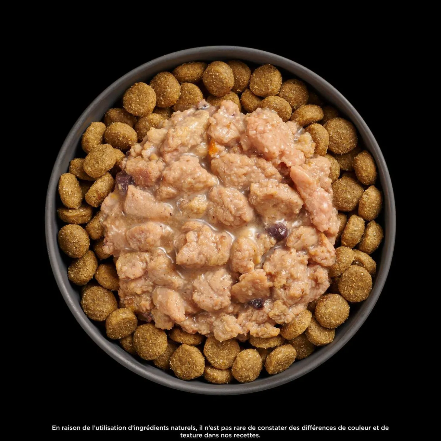Booster Immune Health Minced Chicken with Gravy Meal Topper for Dogs, 79 g
