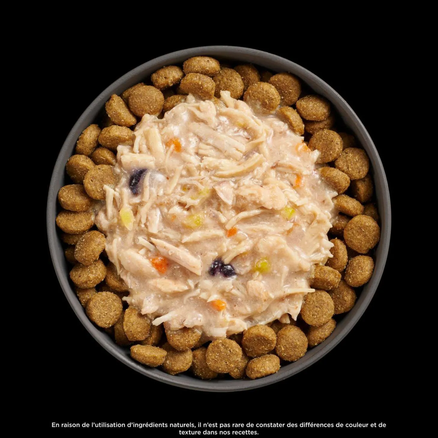 Booster Immune Health Shredded Chicken and Salmon in Broth Meal Topper for Dogs, 79 g