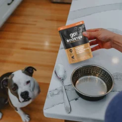 Booster Immune Health Shredded Chicken and Salmon in Broth Meal Topper for Dogs, 79 g