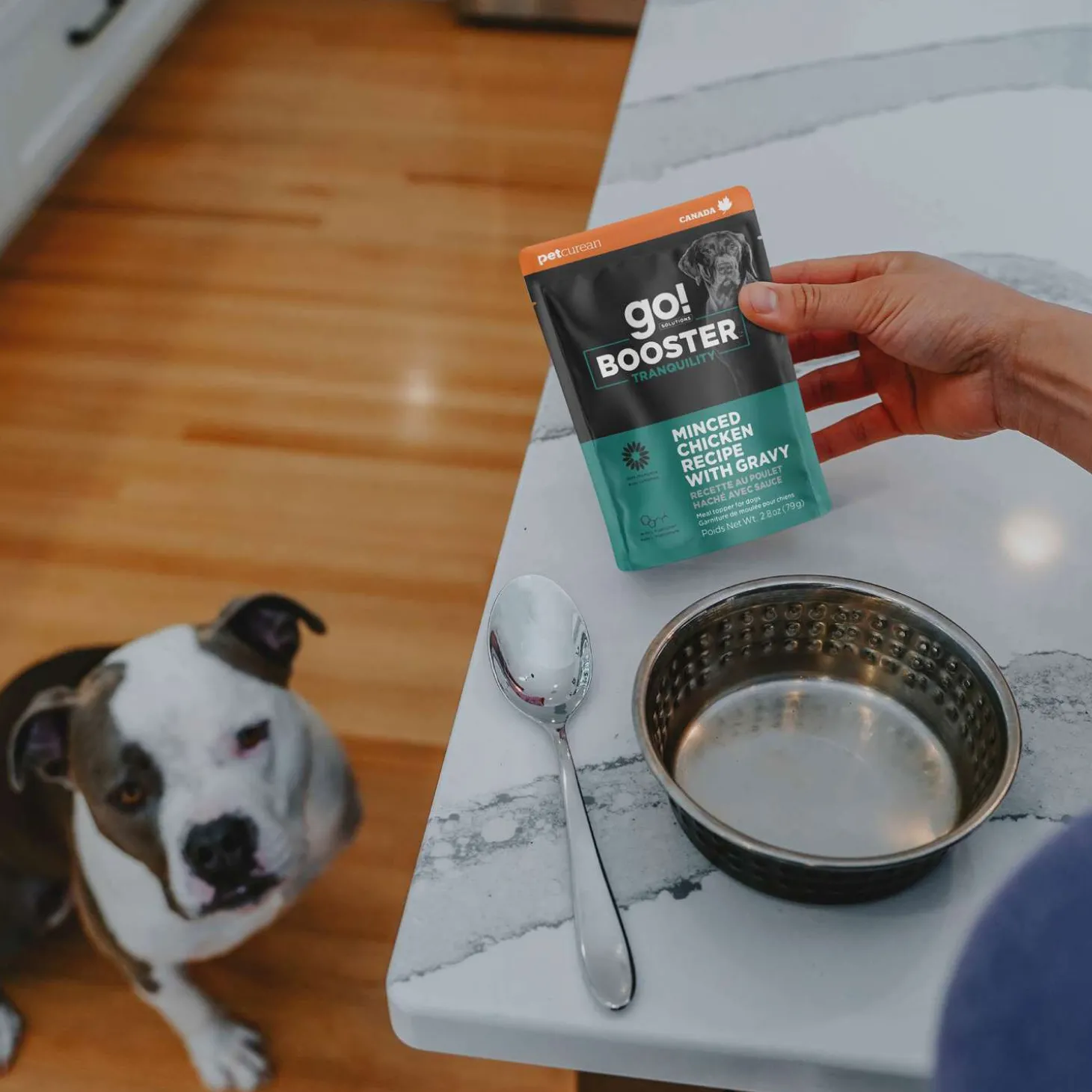 Booster Tranquility Minced Chicken with Gravy Meal Topper for Dogs, 79 g