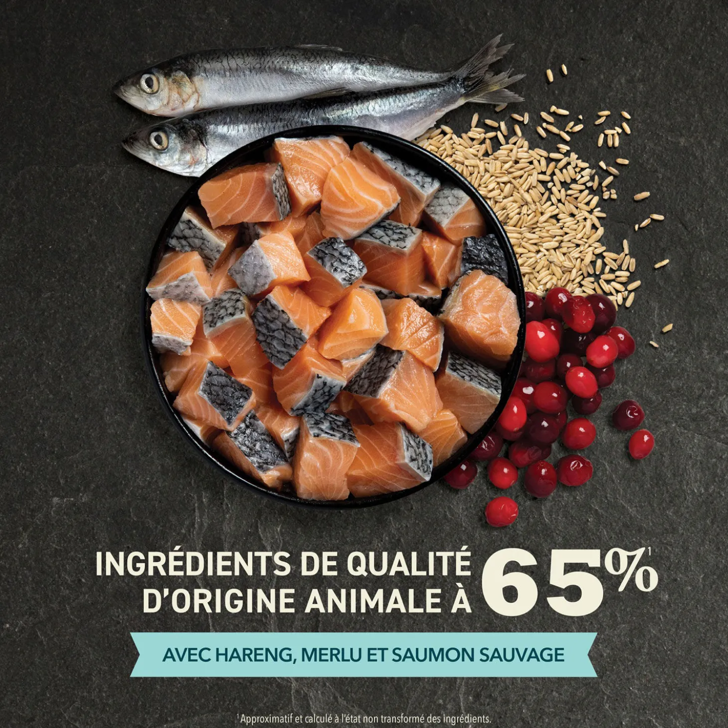 Bountiful Catch Dry Cat Food, 4.5 kg