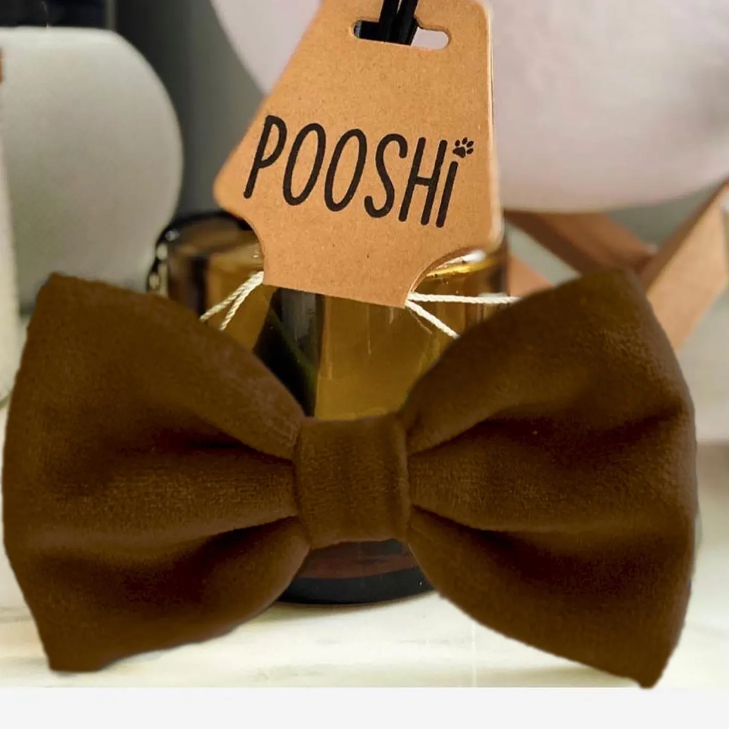 Bow Tie for Cats and Dogs
