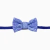 Bow Tie for Dogs