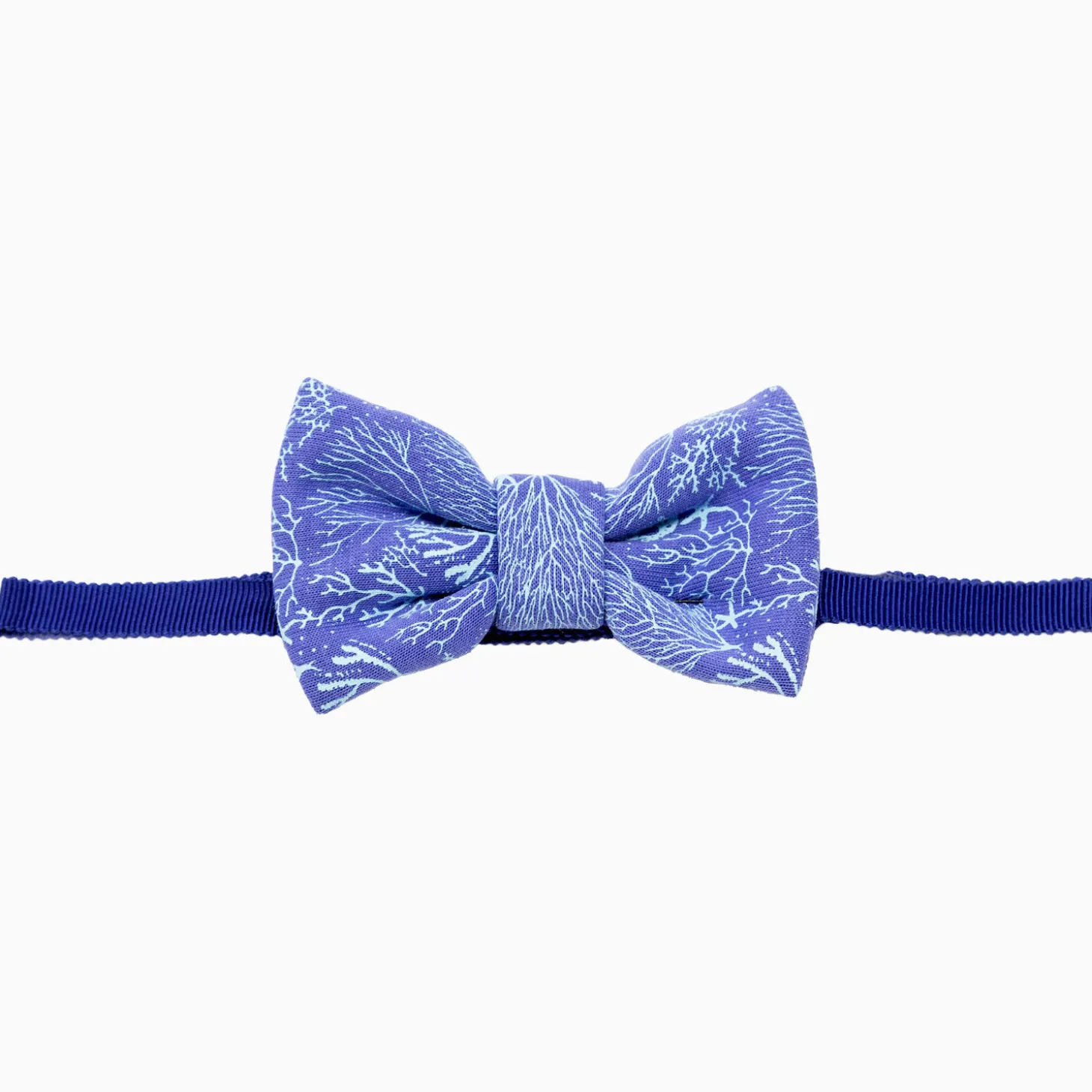 Bow Tie for Dogs