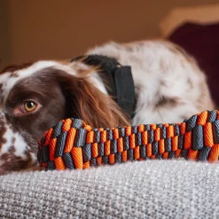 Braided Bone Dog Toy