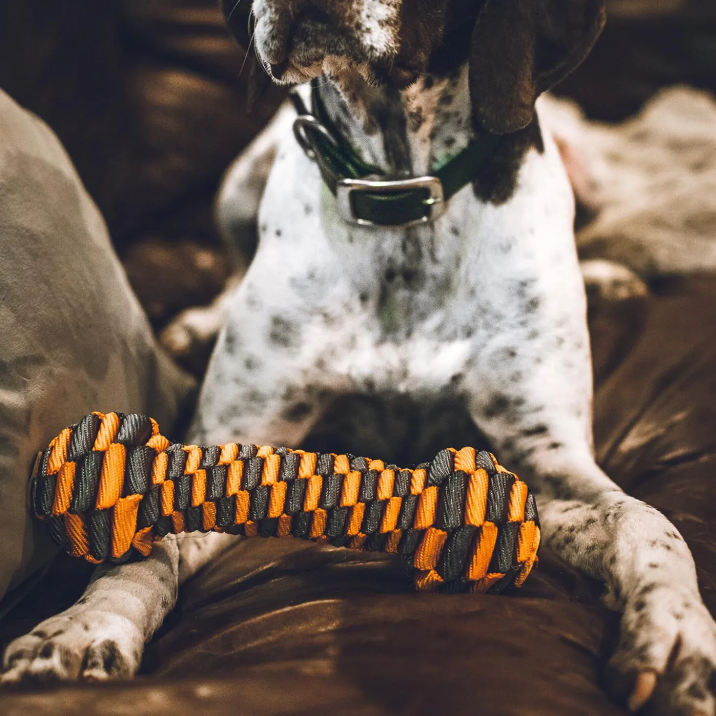 Braided Bone Dog Toy