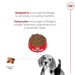 Breed Health Nutrition® Beagle Adult Dry Dog Food