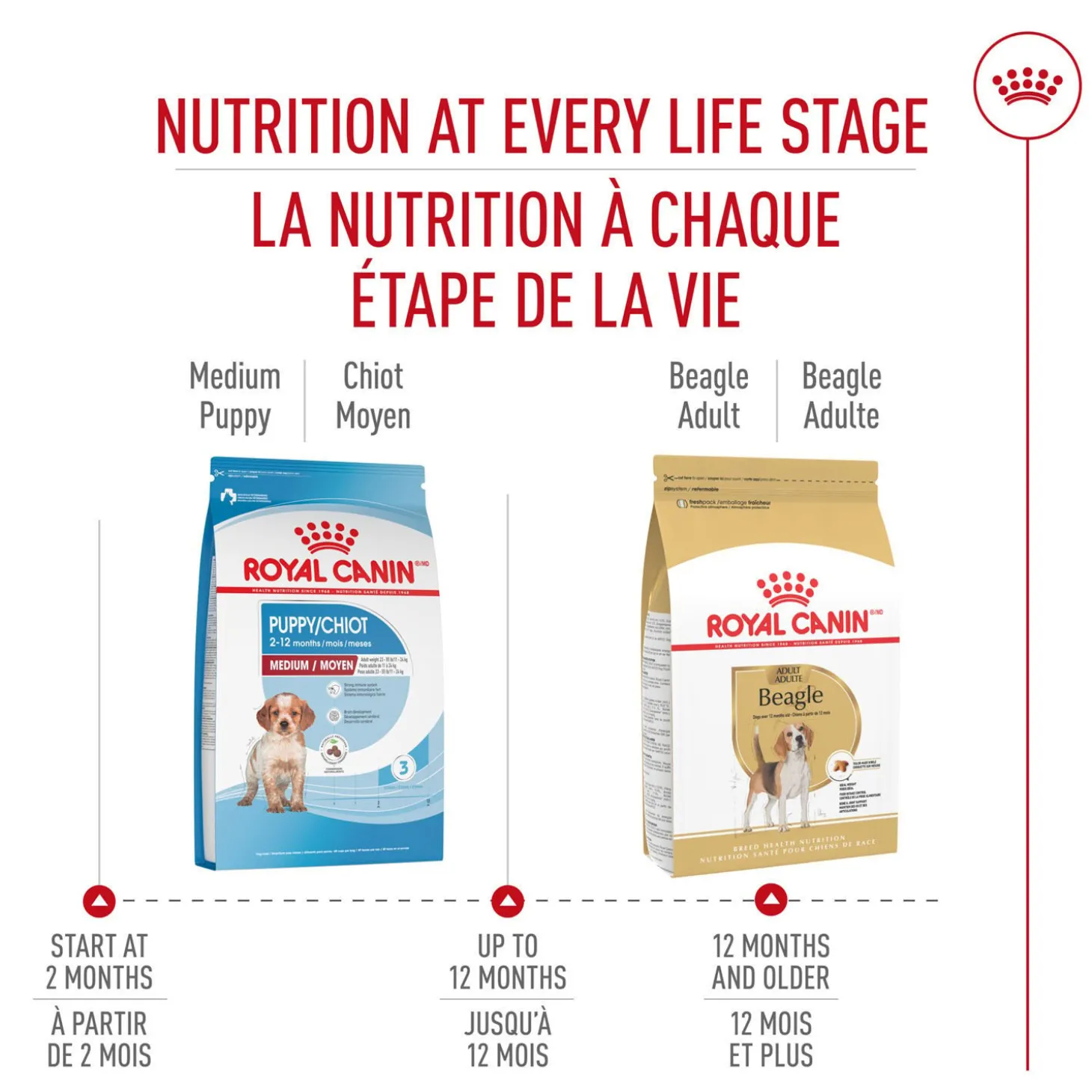 Breed Health Nutrition® Beagle Adult Dry Dog Food