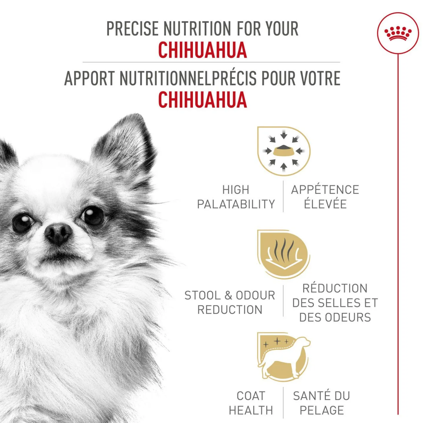 Breed Health Nutrition® Chihuahua Adult Dry Dog Food
