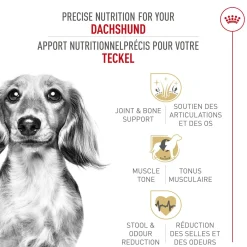 Breed Health Nutrition® Dachshund Adult Dry Dog Food