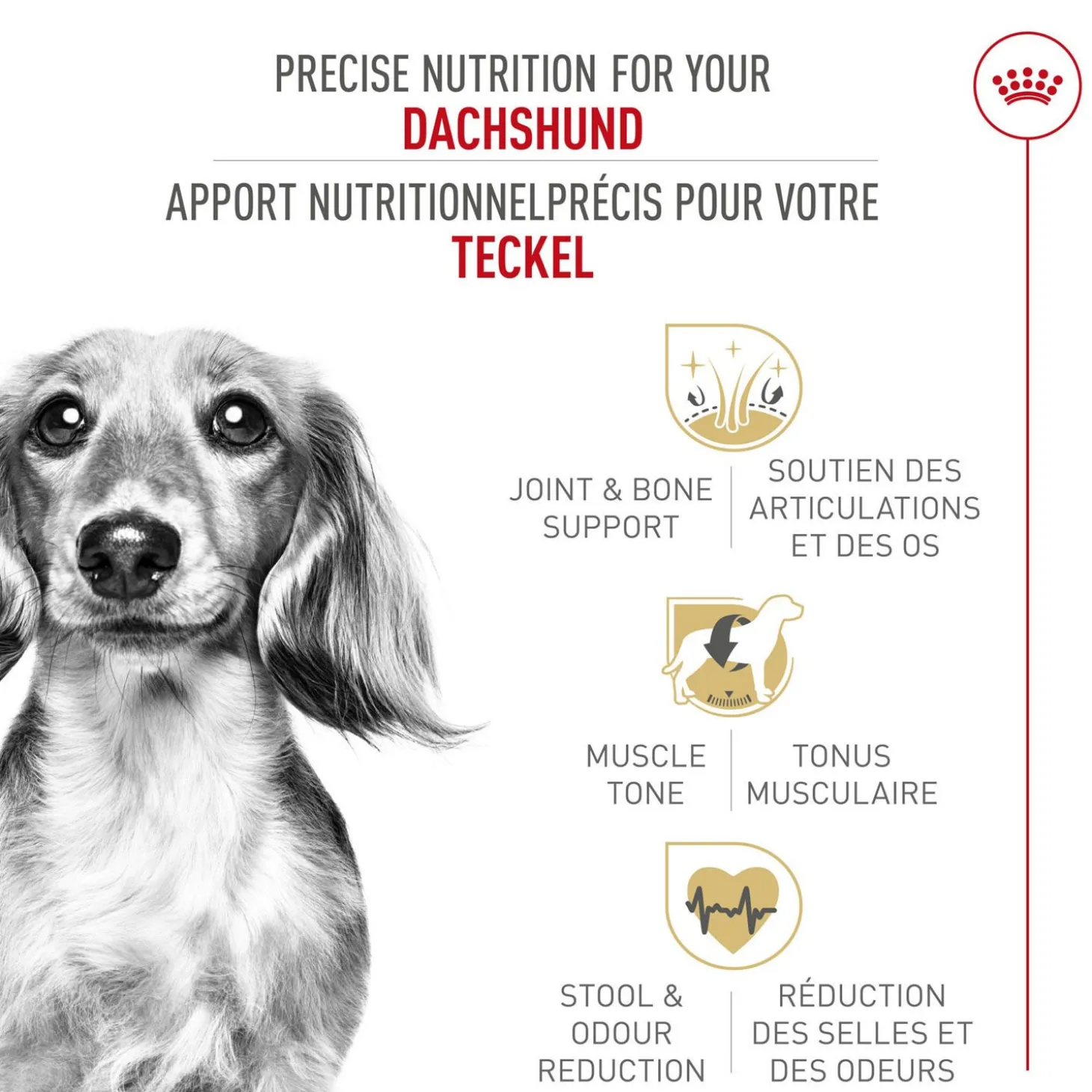 Breed Health Nutrition® Dachshund Adult Dry Dog Food