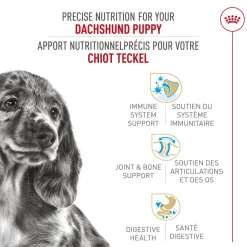 Breed Health Nutrition® Dachshund Puppy Dry Food