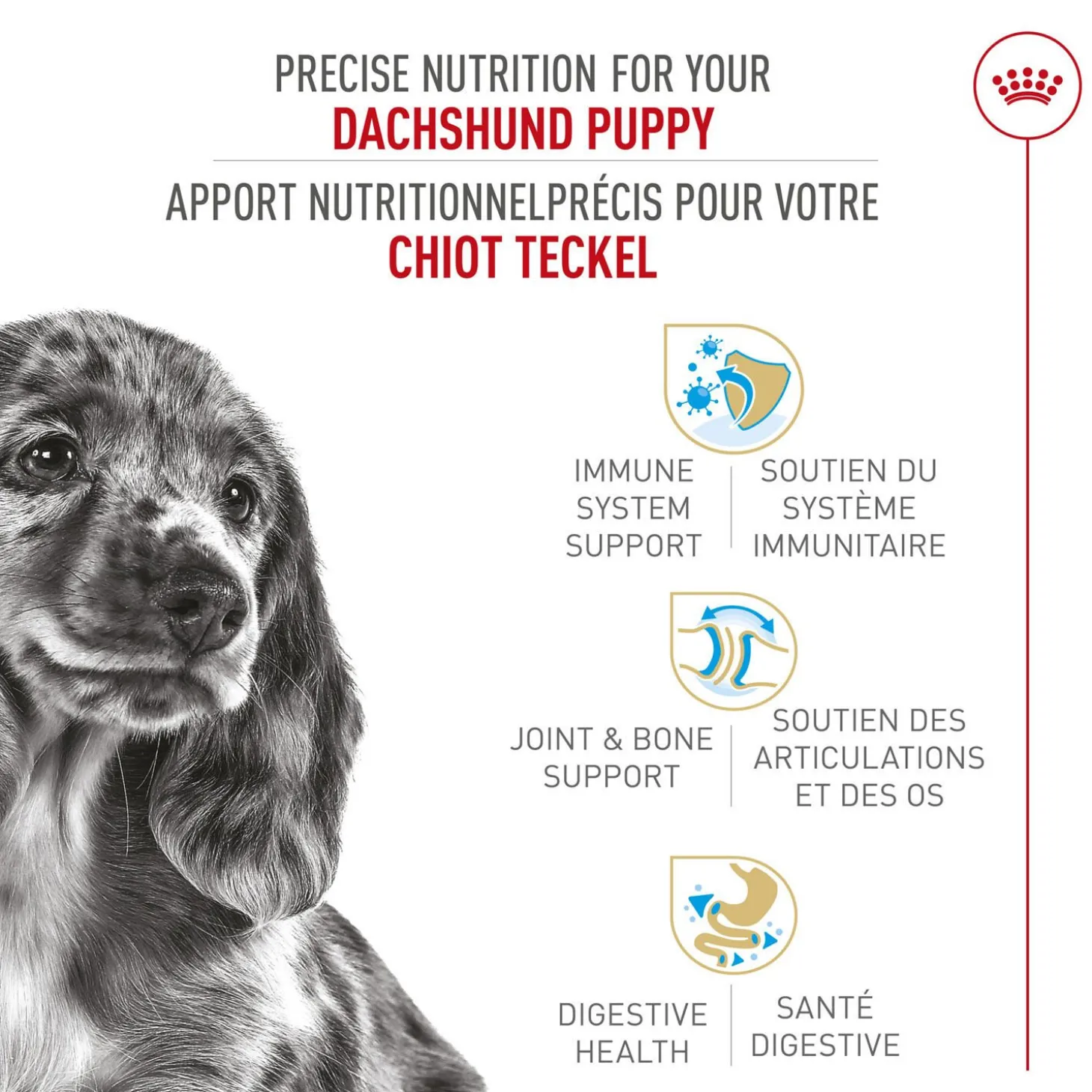 Breed Health Nutrition® Dachshund Puppy Dry Food