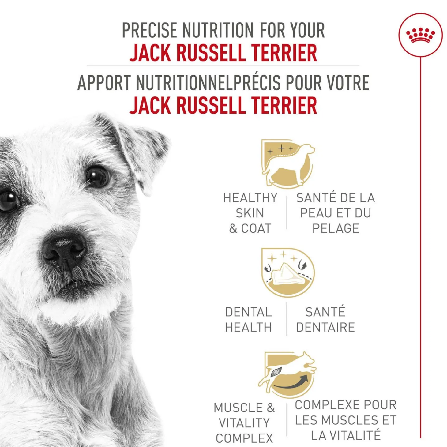 Breed Health Nutrition® Jack Russell Terrier Adult Dry Dog Food