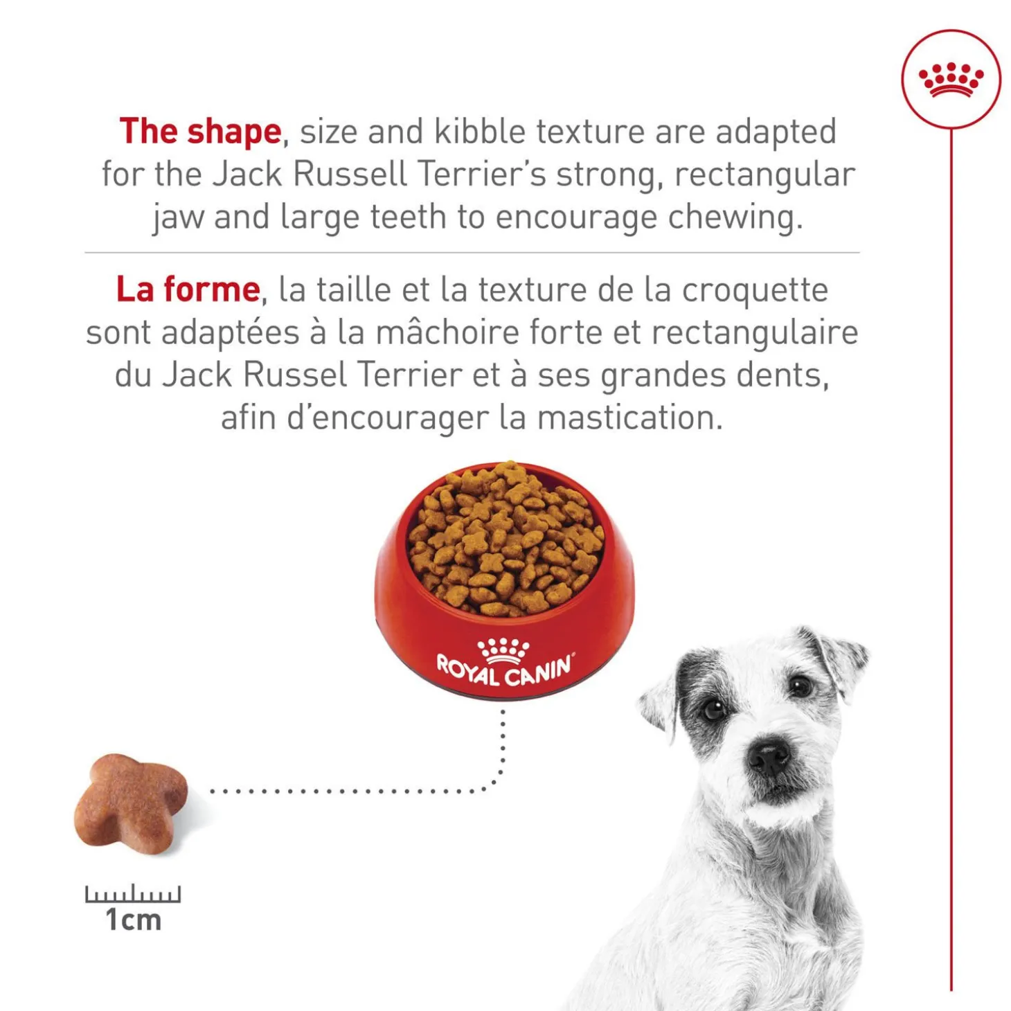Breed Health Nutrition® Jack Russell Terrier Adult Dry Dog Food