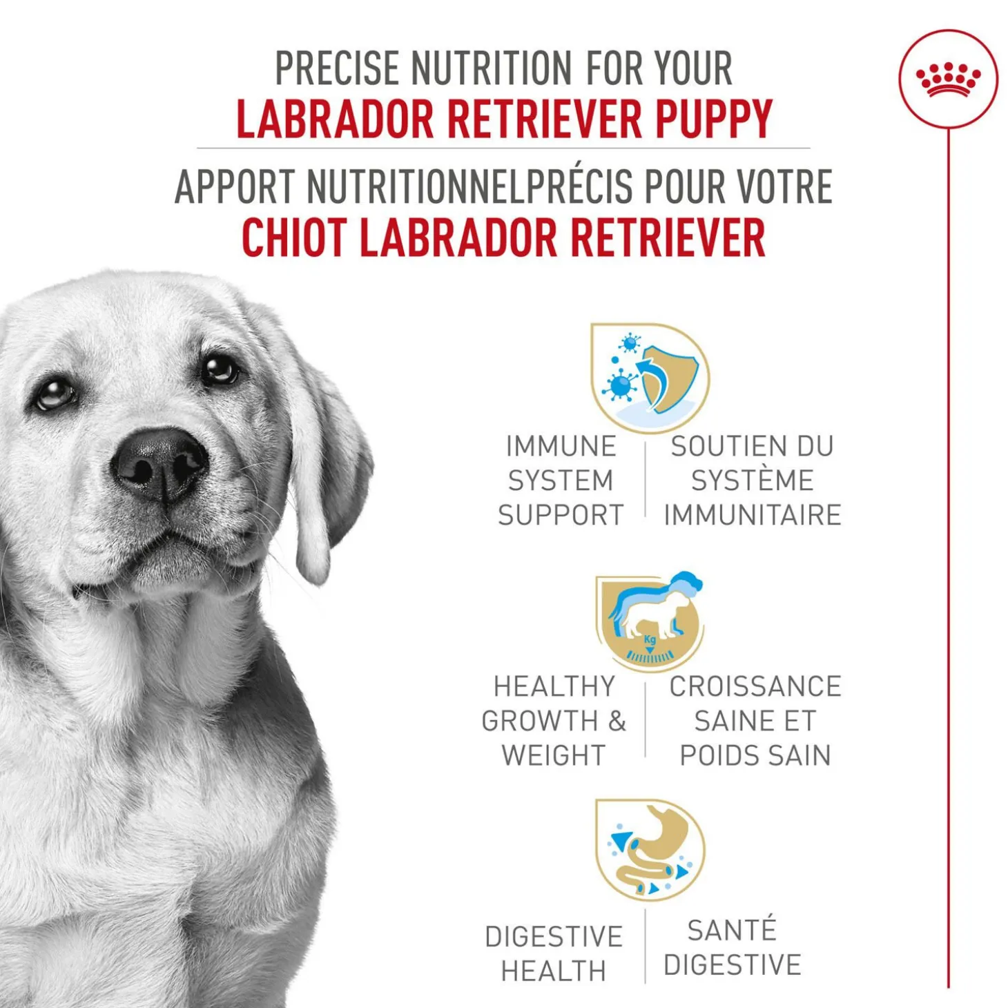Breed Health Nutrition® Labrador Retriever Puppy Dry Food