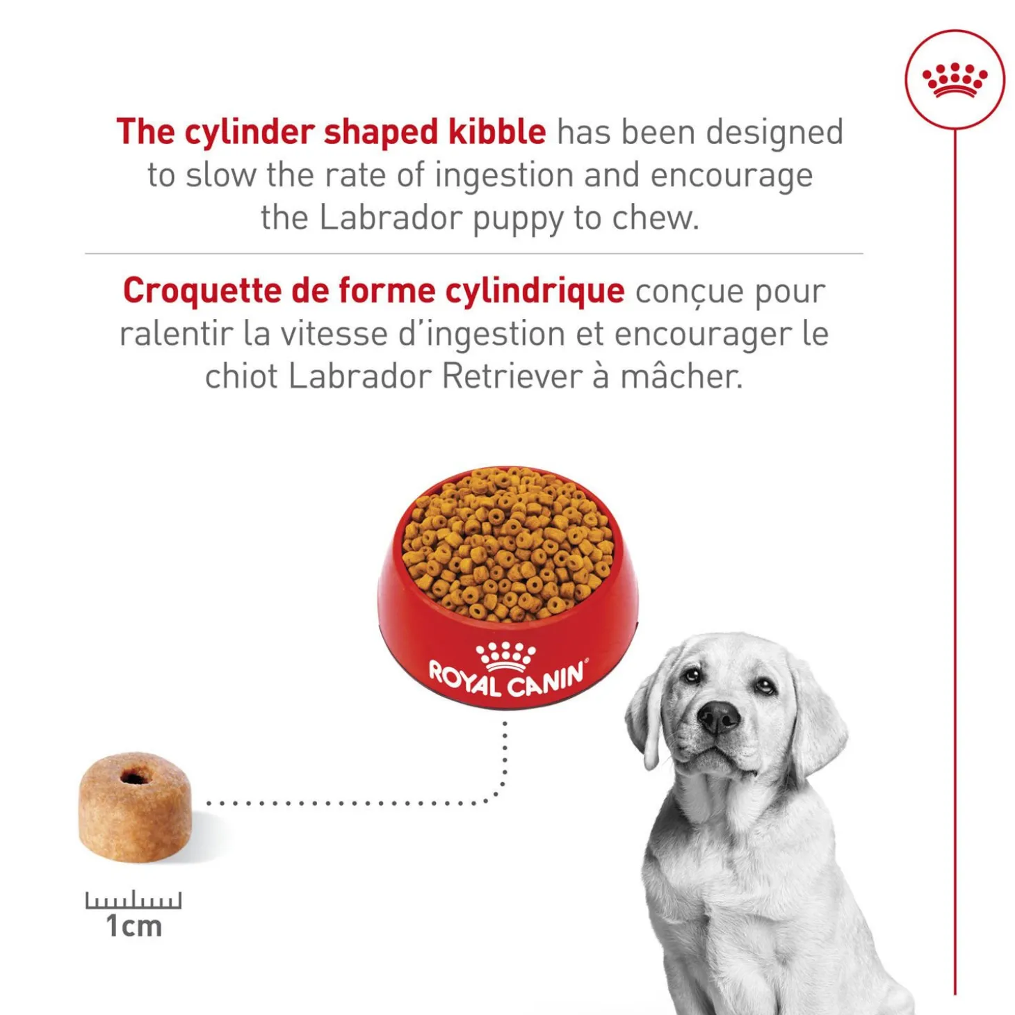 Breed Health Nutrition® Labrador Retriever Puppy Dry Food