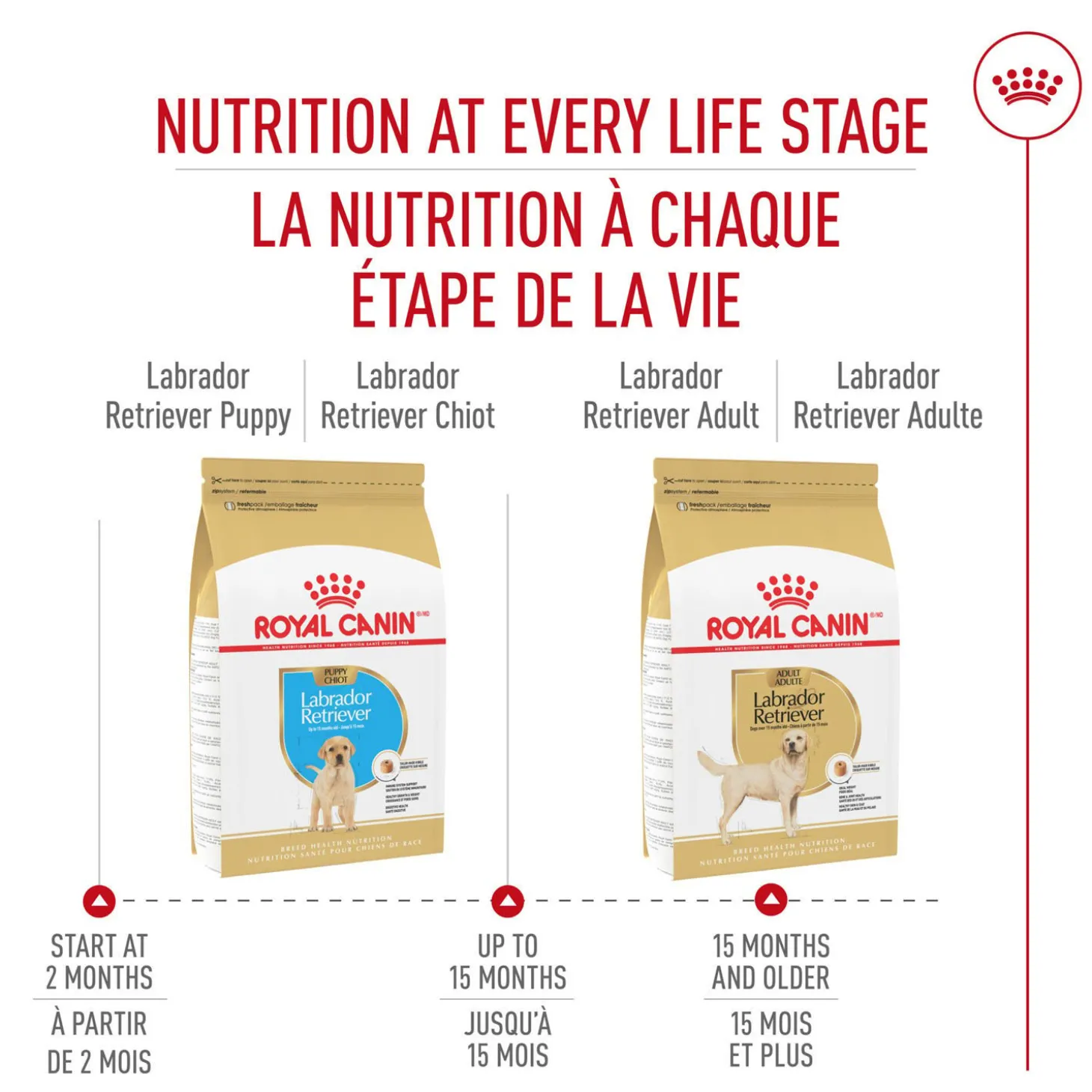 Breed Health Nutrition® Labrador Retriever Puppy Dry Food