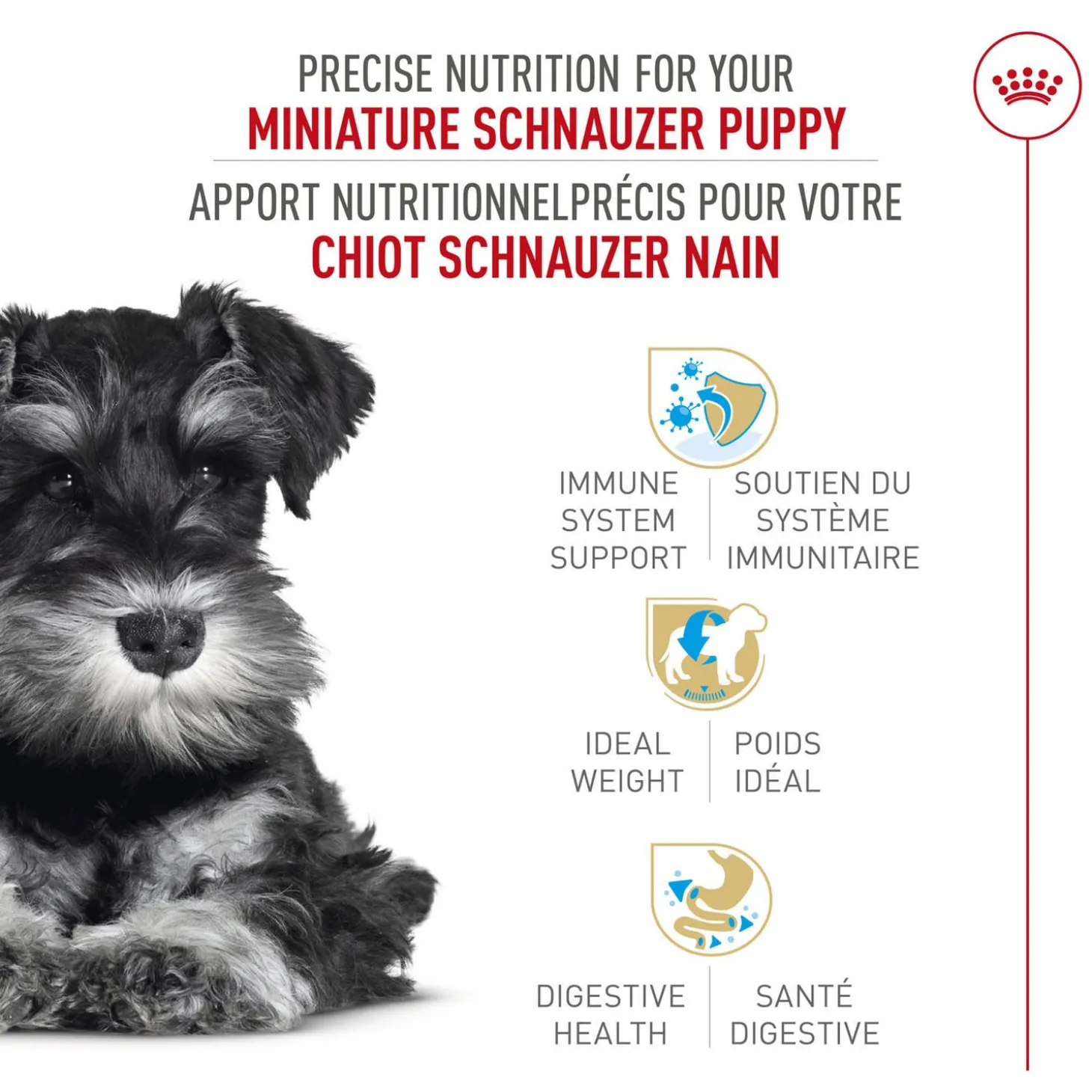Breed Health Nutrition® Miniture Schnauzer Puppy Dry Food