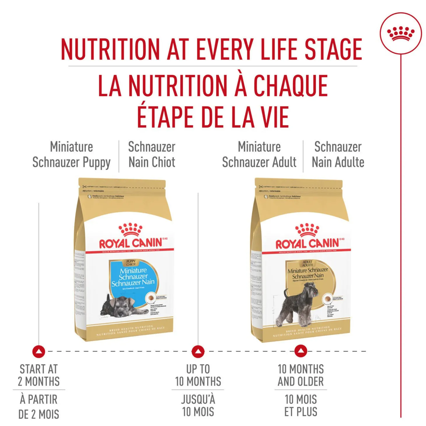 Breed Health Nutrition® Miniture Schnauzer Puppy Dry Food