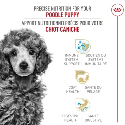 Breed Health Nutrition® Poodle Puppy Dry Puppy Food