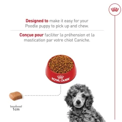 Breed Health Nutrition® Poodle Puppy Dry Puppy Food