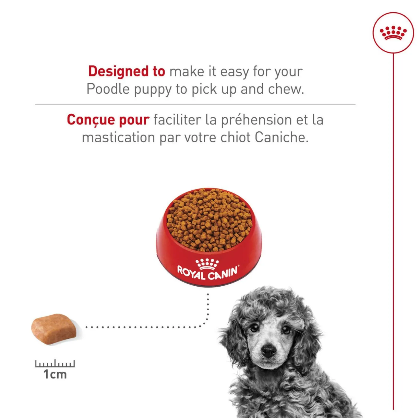 Breed Health Nutrition® Poodle Puppy Dry Puppy Food