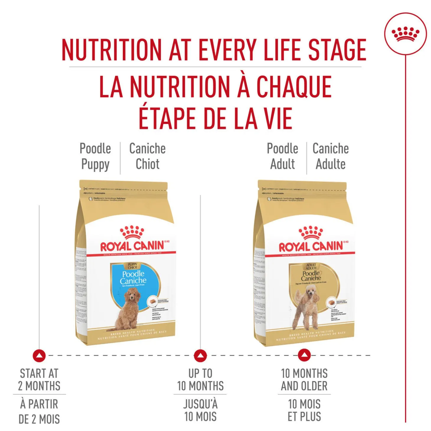 Breed Health Nutrition® Poodle Puppy Dry Puppy Food