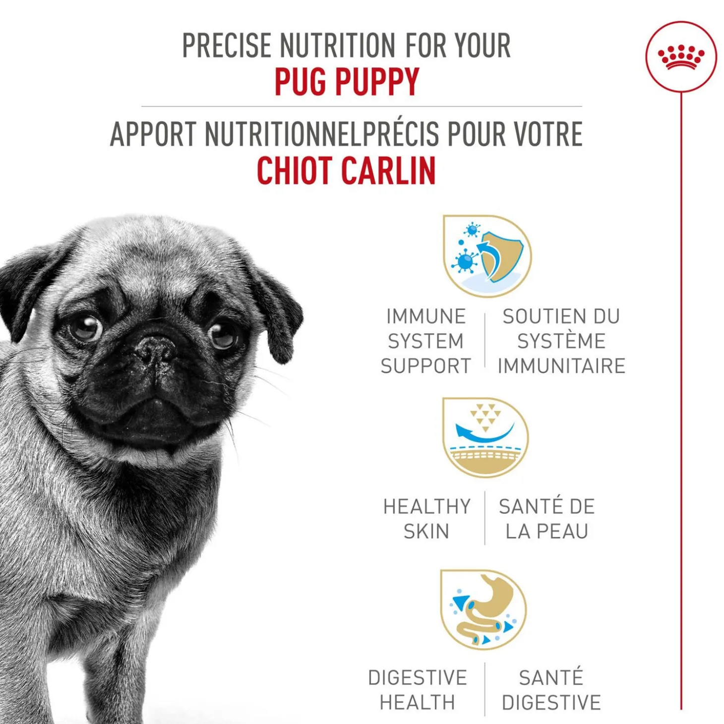 Breed Health Nutrition® Pug Puppy Dry Puppy Food