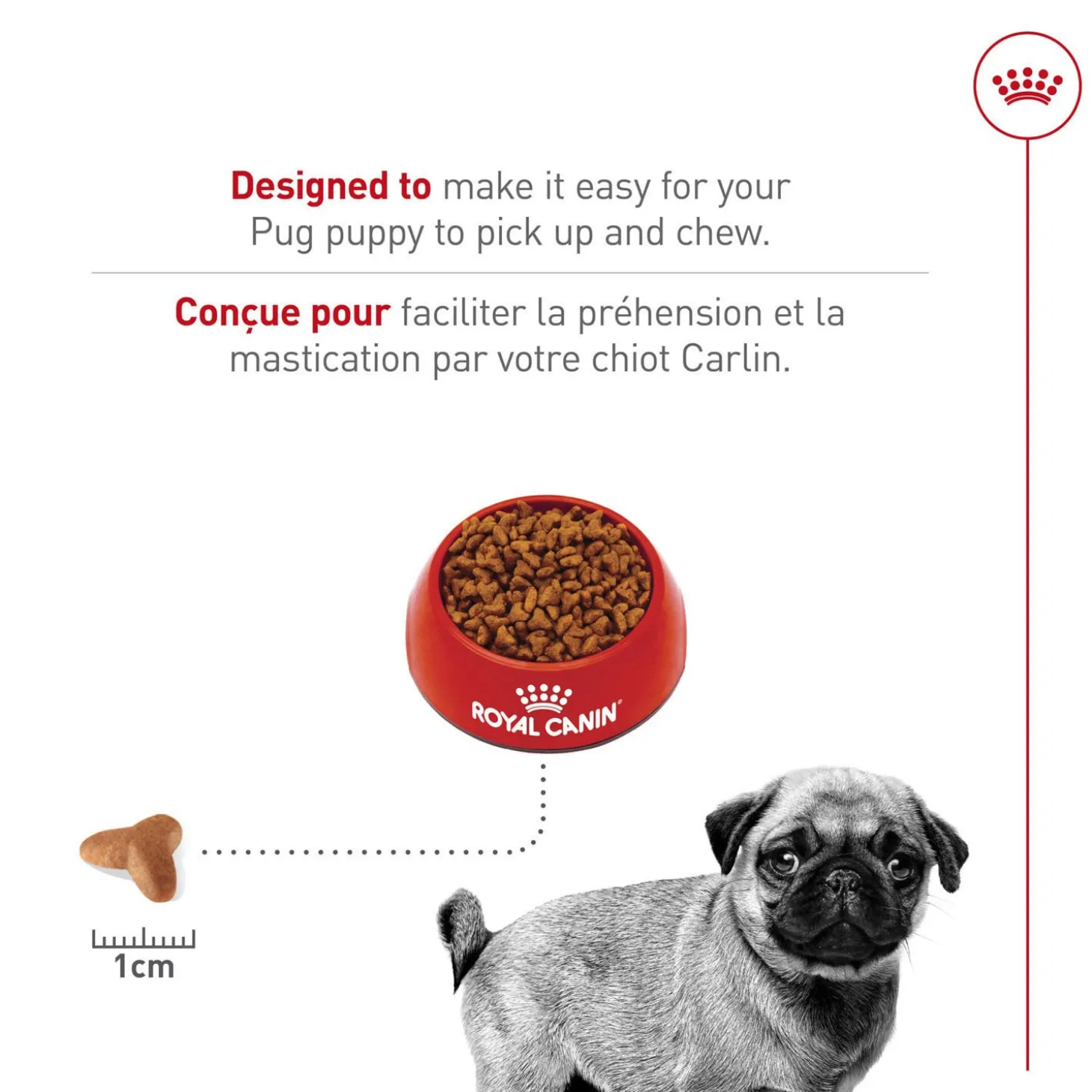 Breed Health Nutrition® Pug Puppy Dry Puppy Food