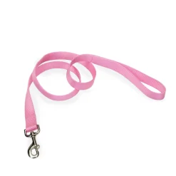 Bright pink single-ply nylon leash