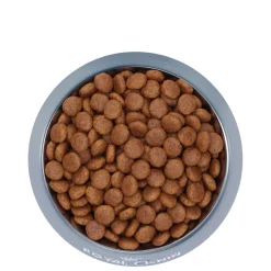 Canine Care Nutrition™ Medium Digestive Care Dry Dog Food